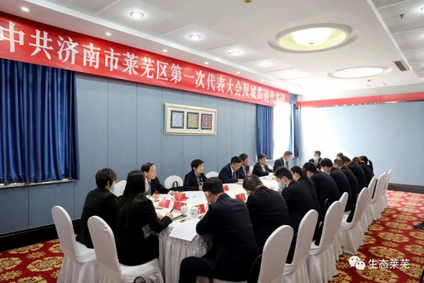 济南市莱芜区人民政府 图片新闻 焦卫星,李光辉等参加代表团分组讨论