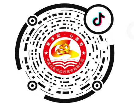 莱芜区行政审批服务局