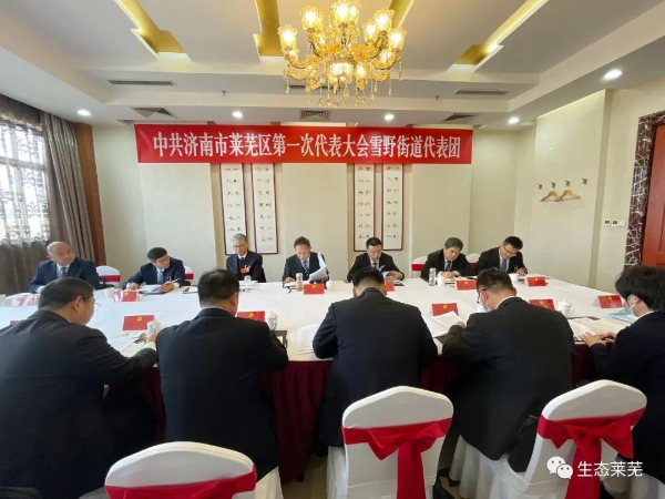 济南市莱芜区人民政府 图片新闻 焦卫星,李光辉等参加代表团分组讨论