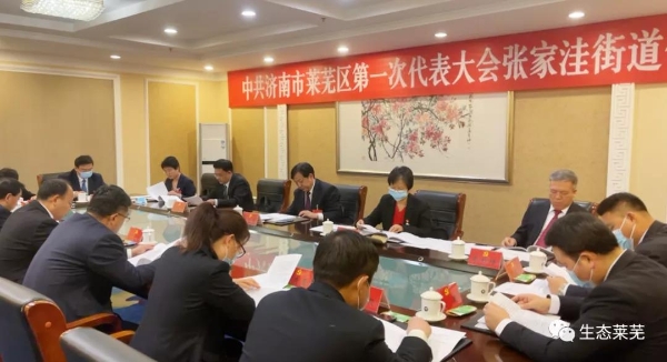 济南市莱芜区人民政府 图片新闻 焦卫星,李光辉等参加代表团分组讨论